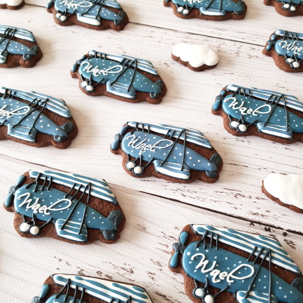 Biscuits décorés sur-mesure thème avions