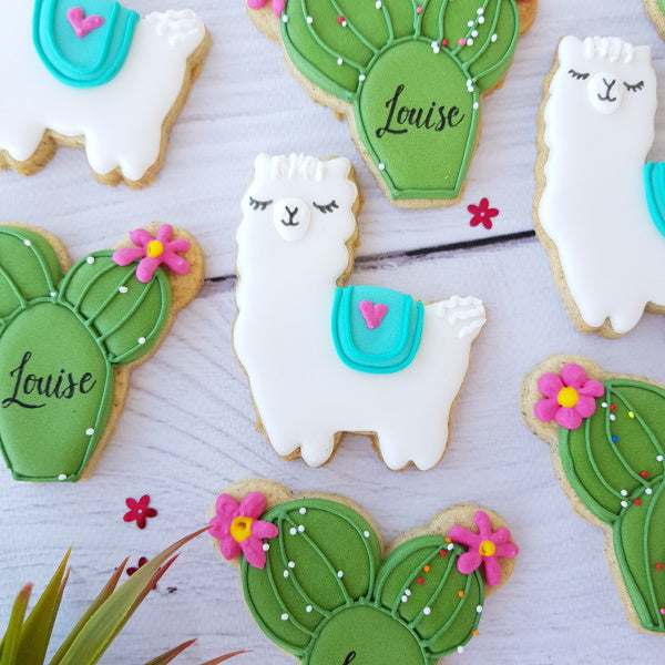Biscuits décorés sur mesure naissance baptême cactus & lamas